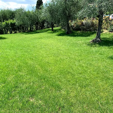 Corteviva Boutique 4* Perugia