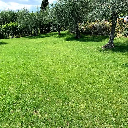Corteviva Boutique 2* Perugia